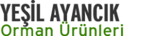 Yeşil Ayancık Orman Ürünleri logo